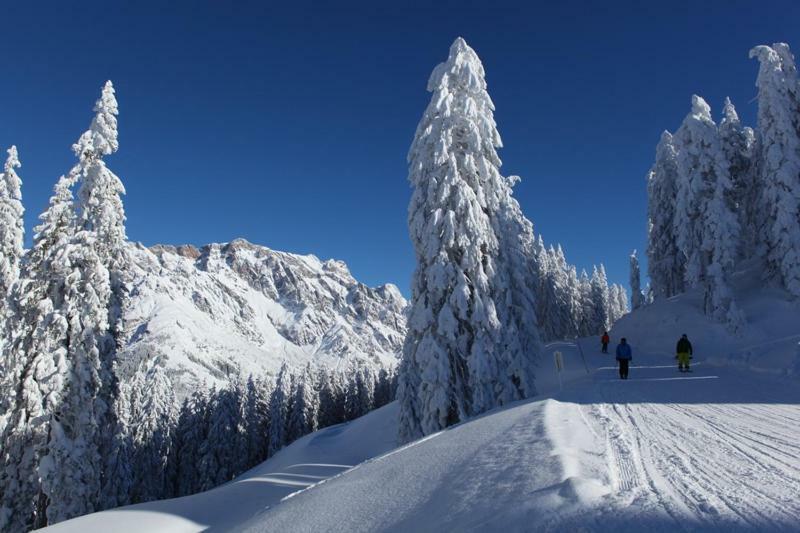 Am Berg 34 Apartment Maria Alm am Steinernen Meer Bagian luar foto